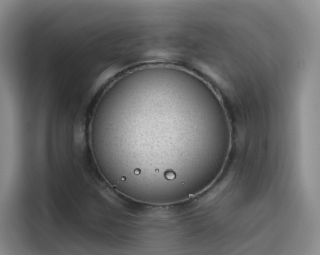 X0000114081259200910131229