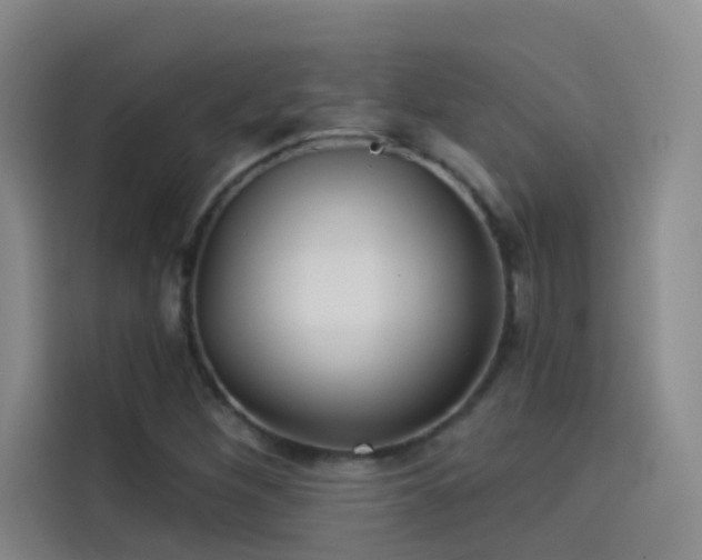 X0000114081260200910131229