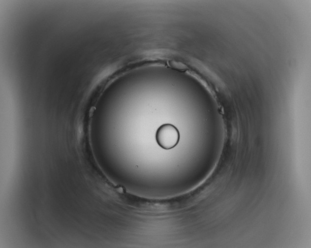 X0000114081261200910131229