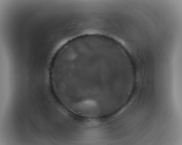 X0000114081263200910131229