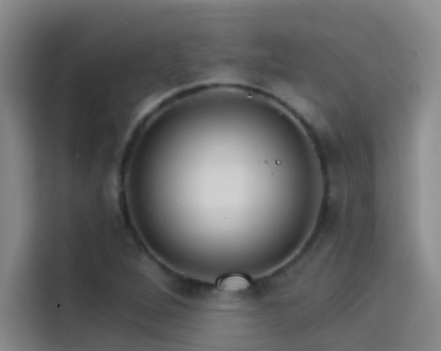 X0000114081264200910131229