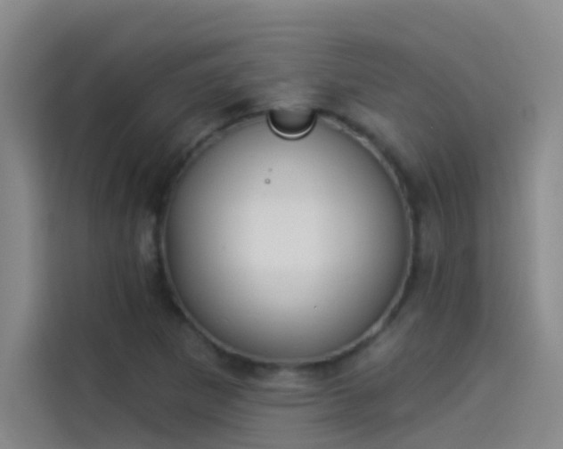 X0000114081265200910131229