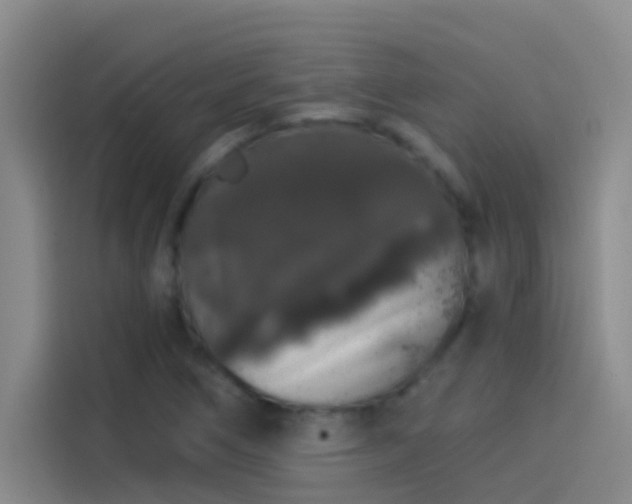 X0000114081266200910131229