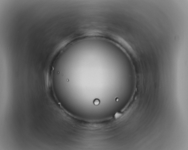 X0000114081269200910131229