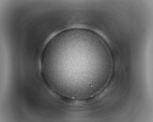 X0000114081271200910131229