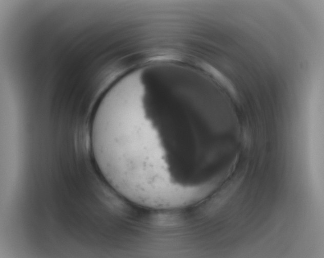 X0000114081274200910131229