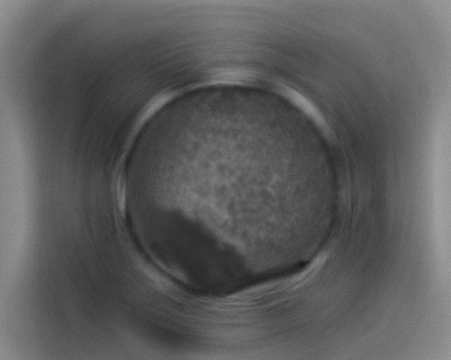 X0000114081275200910131229