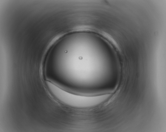 X0000114081277200910131229