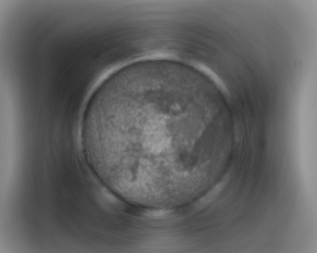 X0000114081278200910131229