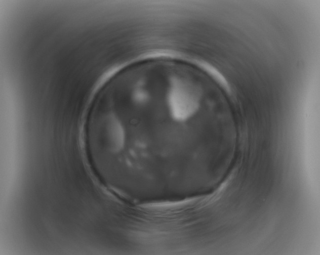 X0000114081279200910131229