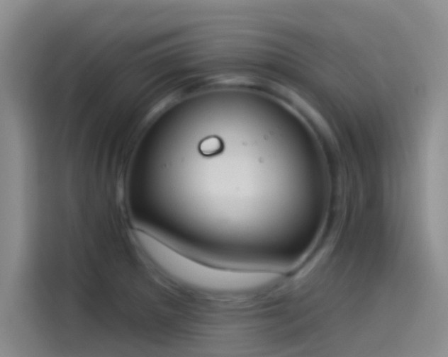 X0000114081281200910131229