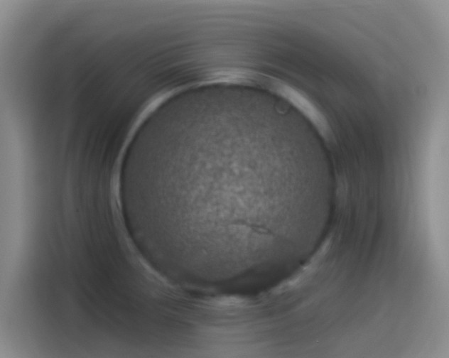 X0000114081283200910131229