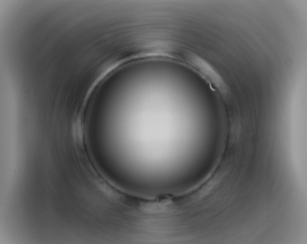 X0000114081284200910131229