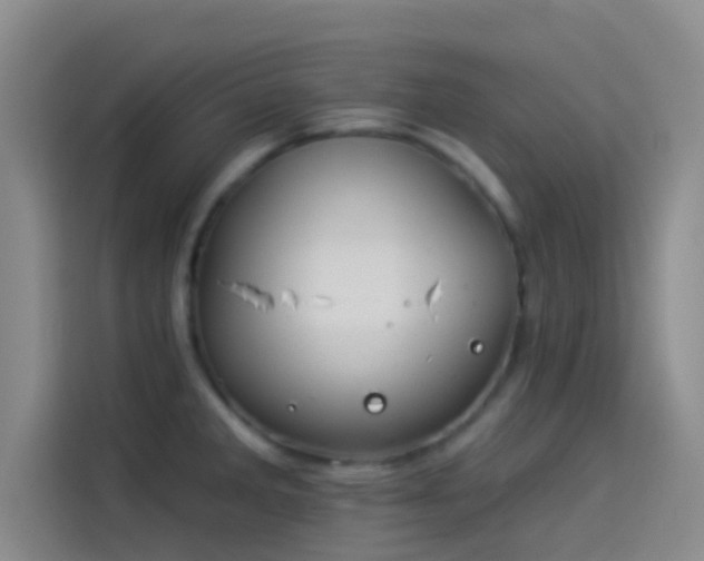 X0000114081285200910131229