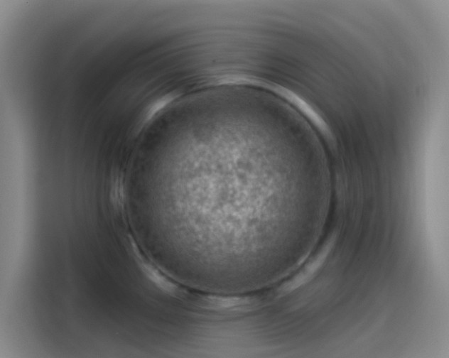 X0000114081289200910131229