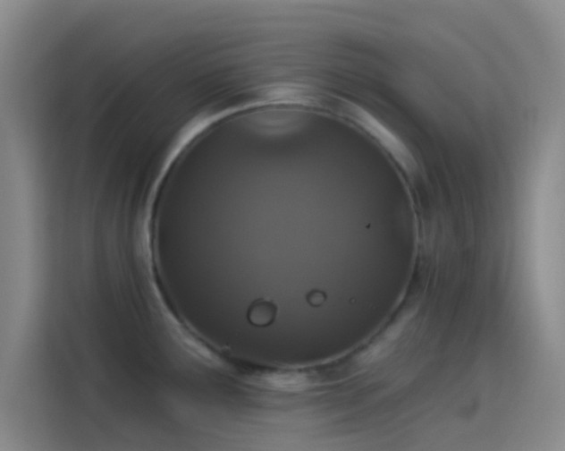 X0000114081291200910131229