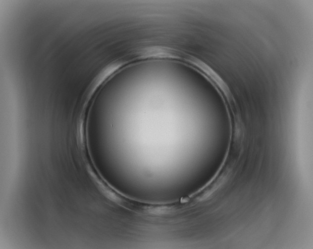 X0000114081293200910131229