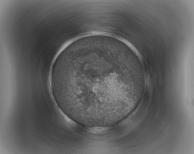 X0000114081294200910131229