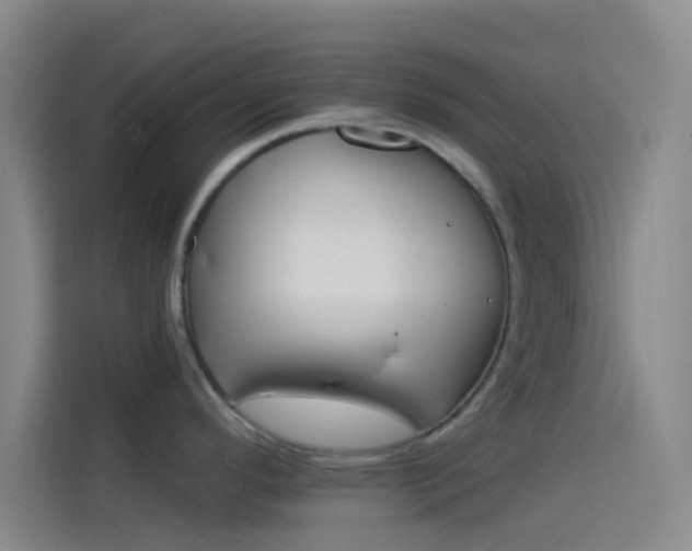 X0000114081296200910131229