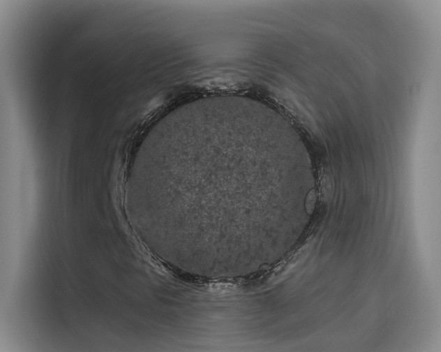 X0000114081297200910131228