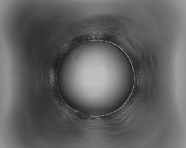 X0000114081298200910131228