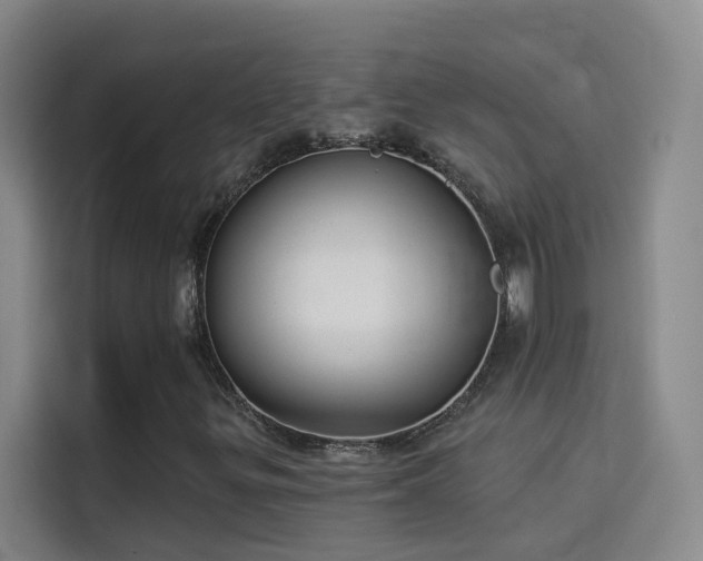 X0000114081299200910131228