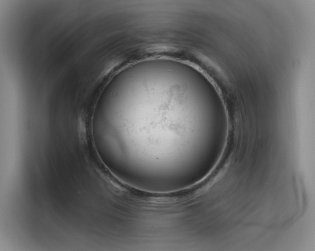 X0000114081305200910131228