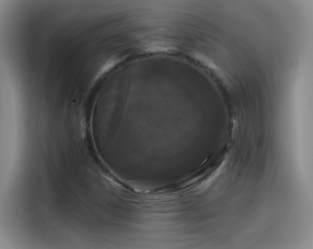 X0000114081306200910131228