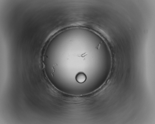 X0000114081308200910131228