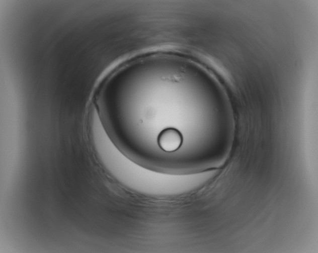 X0000114081316200910131228