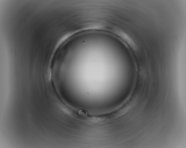 X0000114081324200910131228