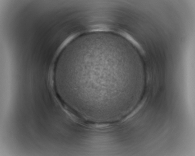 X0000114081325200910131229