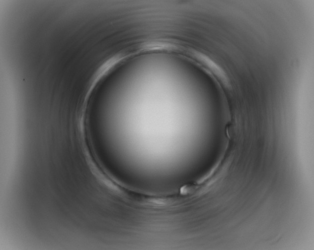 X0000114081330200910131229