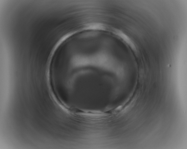 X0000114081331200910131229