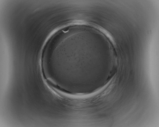 X0000114081334200910131229