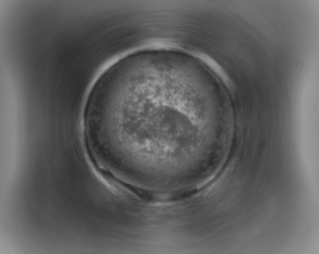 X0000114081335200910131229