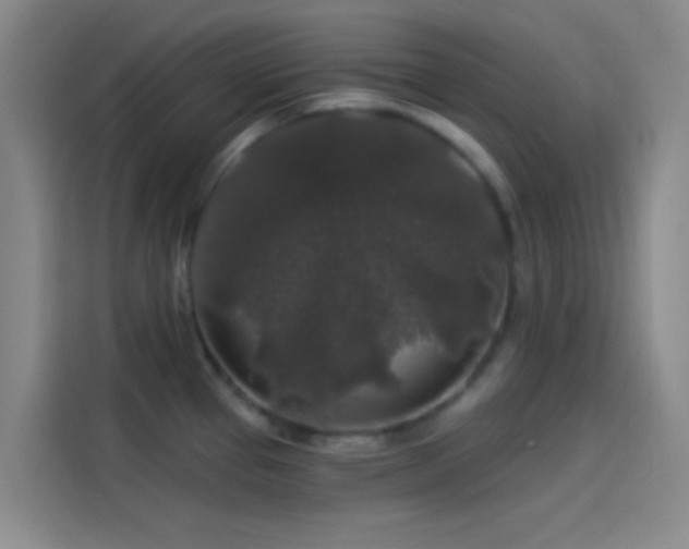 X0000114081337200910131229