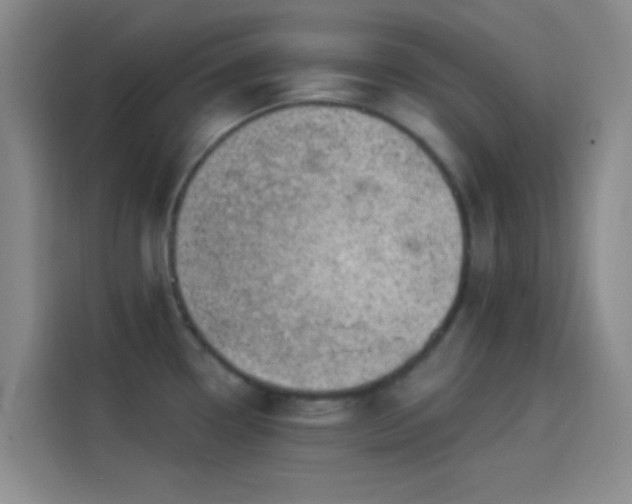 X0000114081338200910131229