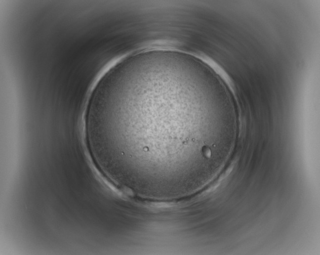 X0000114081341200910131229