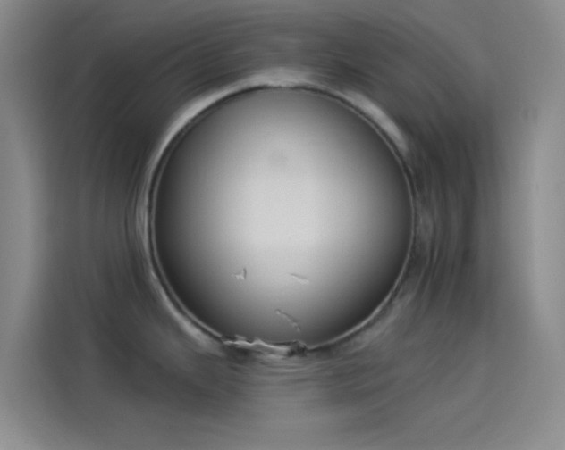 X0000114081343200910131229