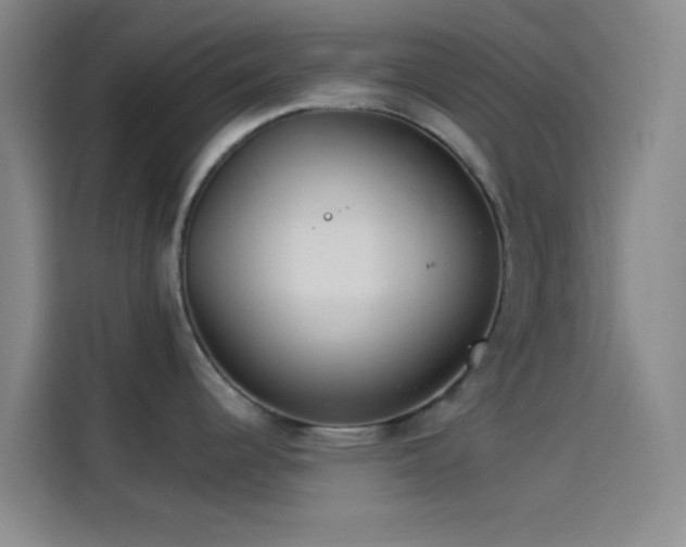 X0000114081344200910131229