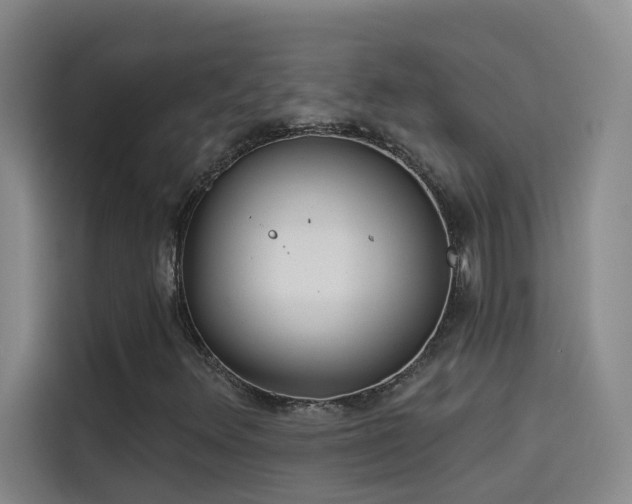 X0000114081348200910131228