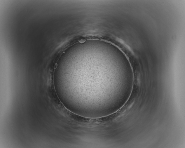 X0000114081350200910131228