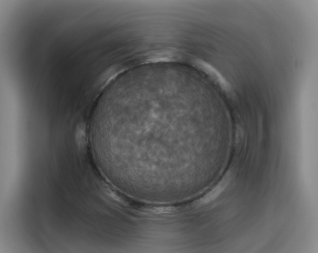 X0000114081353200910131228