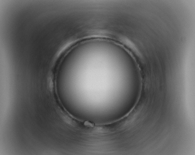 X0000114081360200910131228