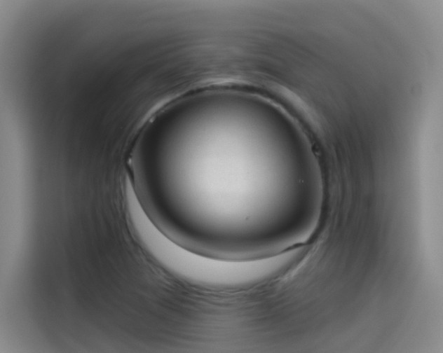 X0000114081361200910131228