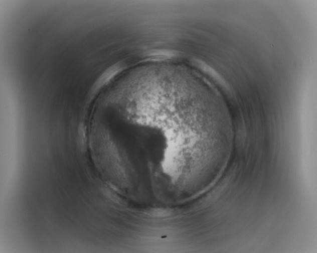 X0000114081362200910131228