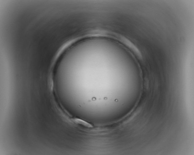 X0000114081368200910131228