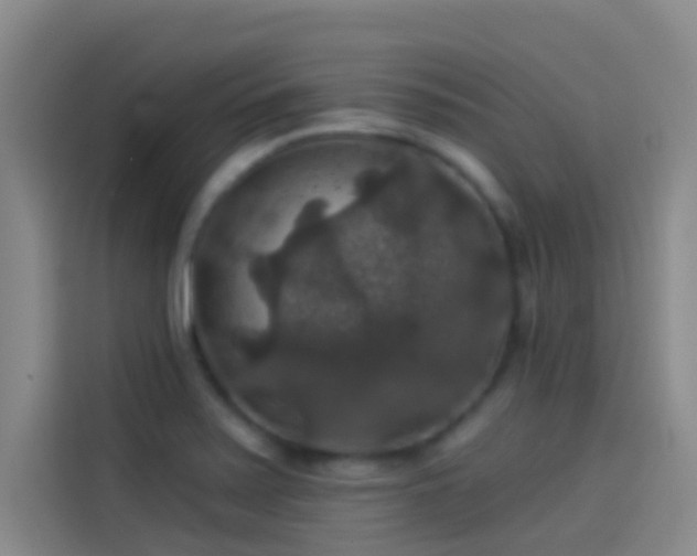 X0000114081371200910131228