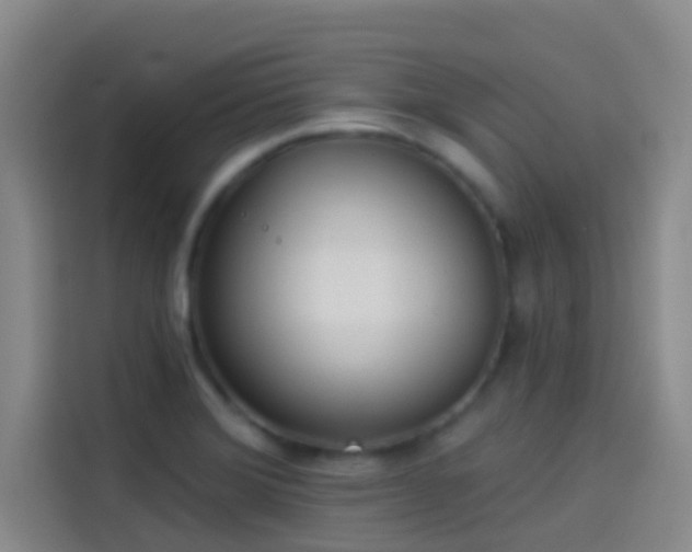 X0000114081372200910131228